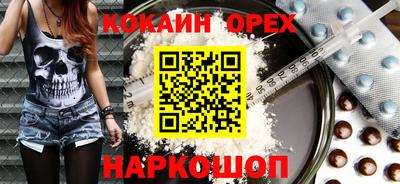 стаф Гатчина