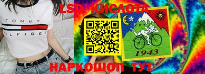 стаф Гатчина