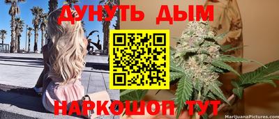 стаф Гатчина