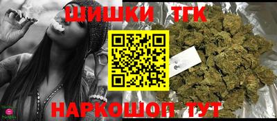 стаф Гатчина