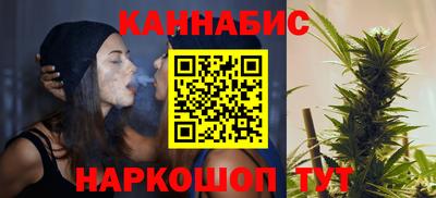 стаф Гатчина