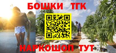 стаф Гатчина