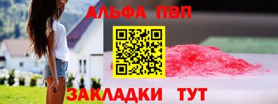 стаф Гатчина