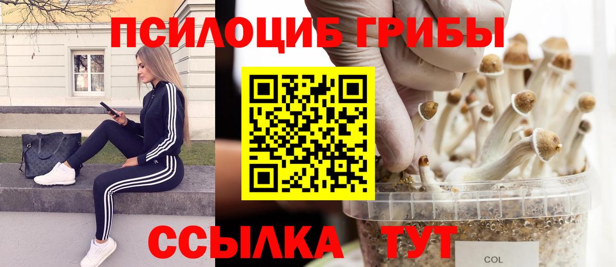Псилоцибиновые грибы Psilocybe  Когалым  Галлюциногенные грибы мухоморы 