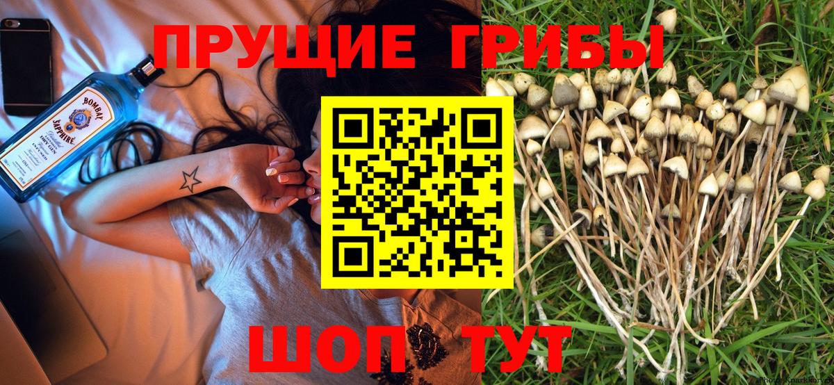 Когалым  Галлюциногенные грибы прущие грибы  Вход с VPN 